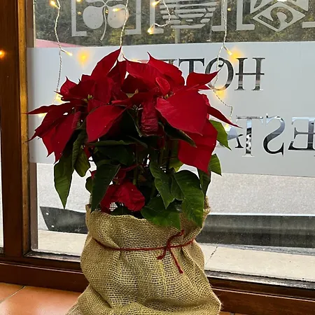 Restaurante Benidorm 1970 2* Villamayor (Pilona)